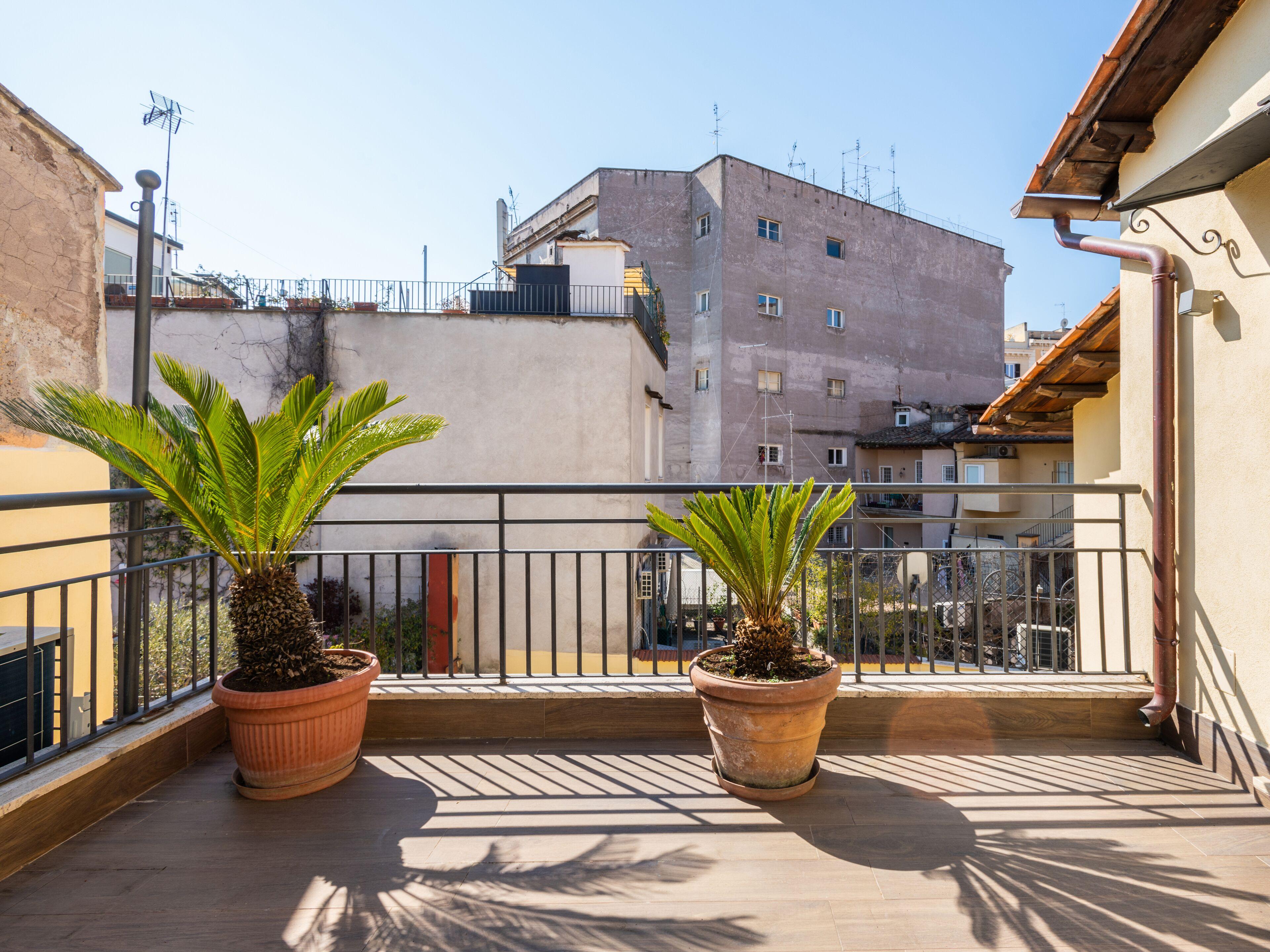 Numa Rome Tullo — Photos 3